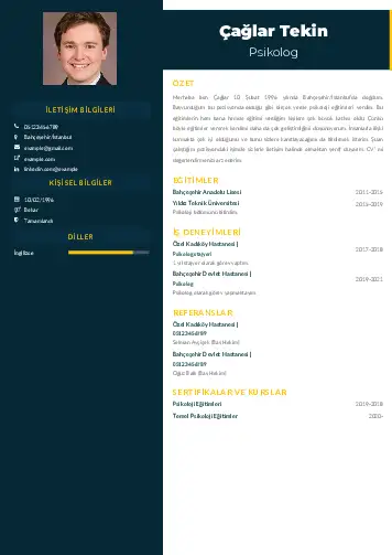 Psikolog CV Örnekleri cv indir